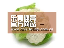 产品名称九